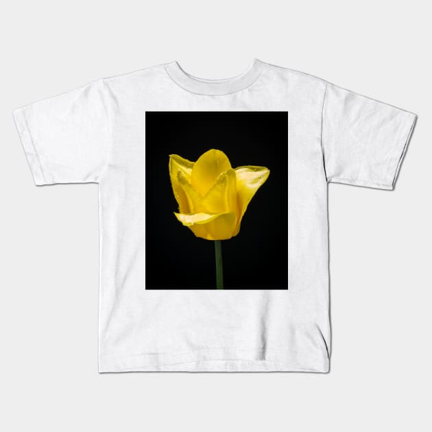 Tulip In Profile 5 Kids T-Shirt by Robert Alsop